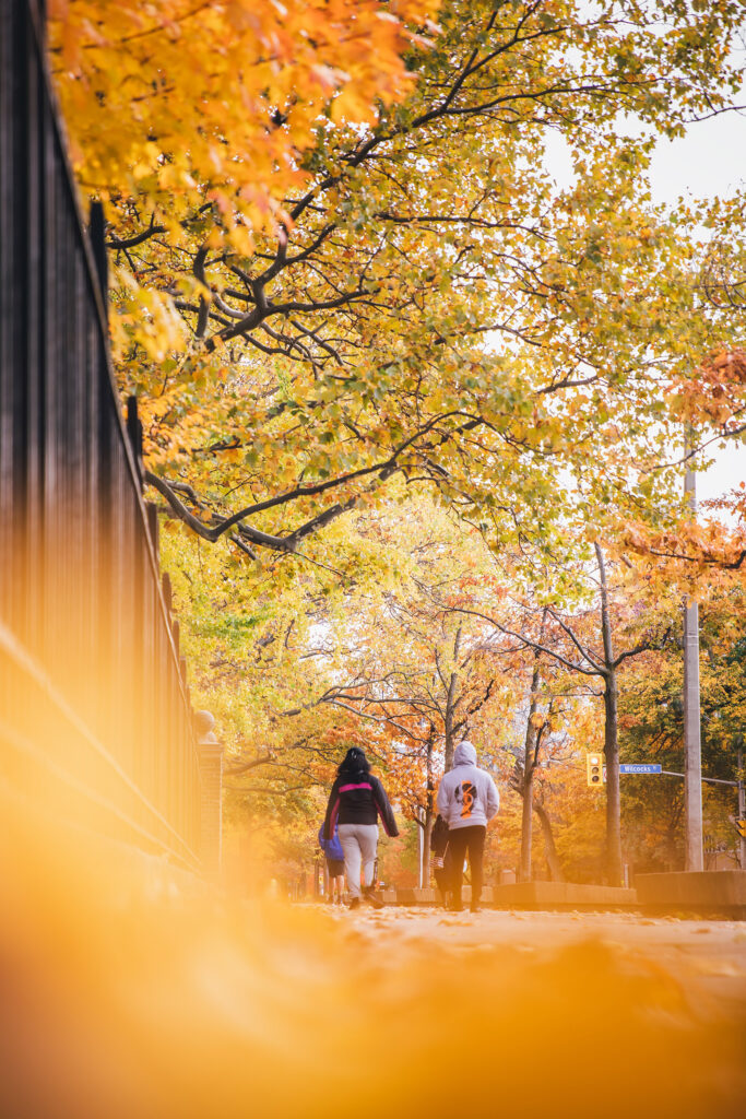 thula-na-BFamtclAyYg-unsplash